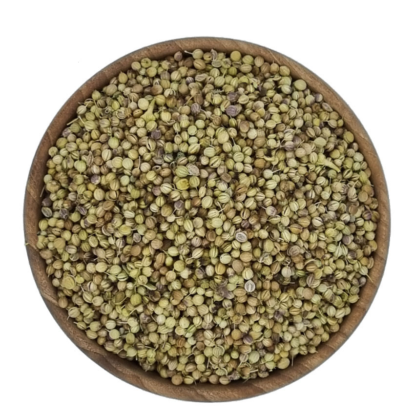 تخم گشنیز