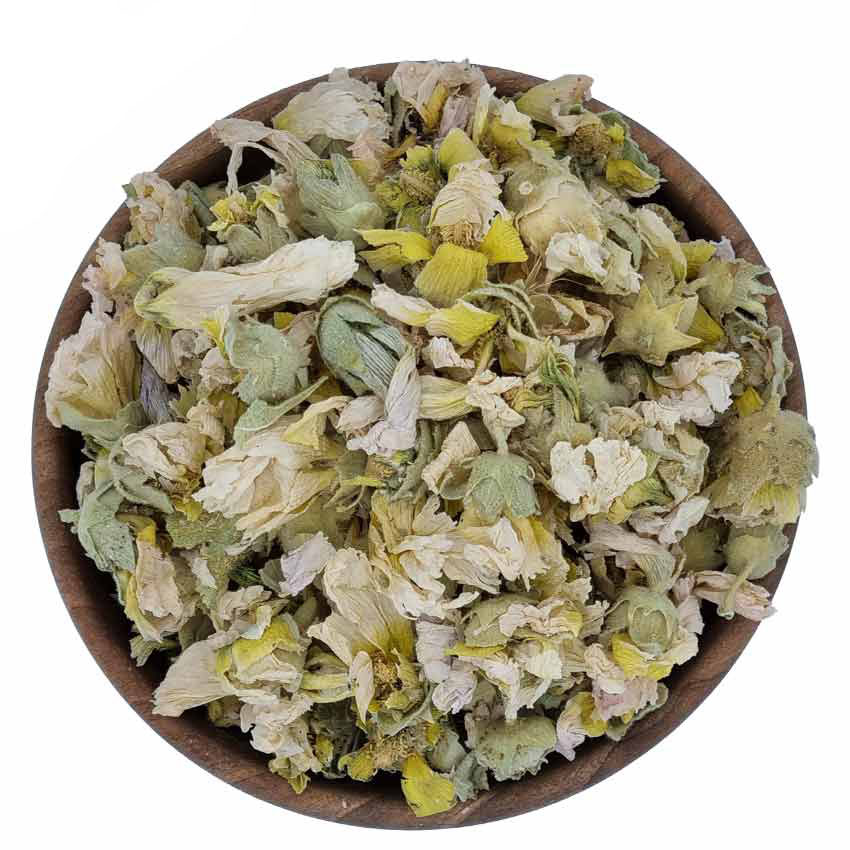 گل ختمی سفید